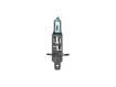 Picture of Bosma lempute H1, P14.5s, 55W, melyna                                                                                                                 